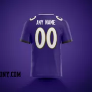 Printed Customized Purple White White Football Jersey