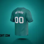 Stitched Customized Aqua White Royal Baseball Jersey
