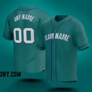 Stitched Customized Aqua White Royal Baseball Jersey